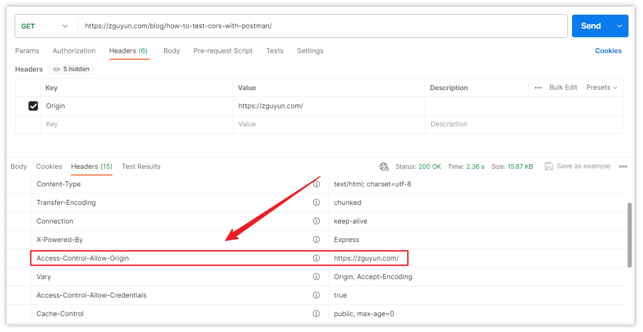 How to Test Cors with Postman