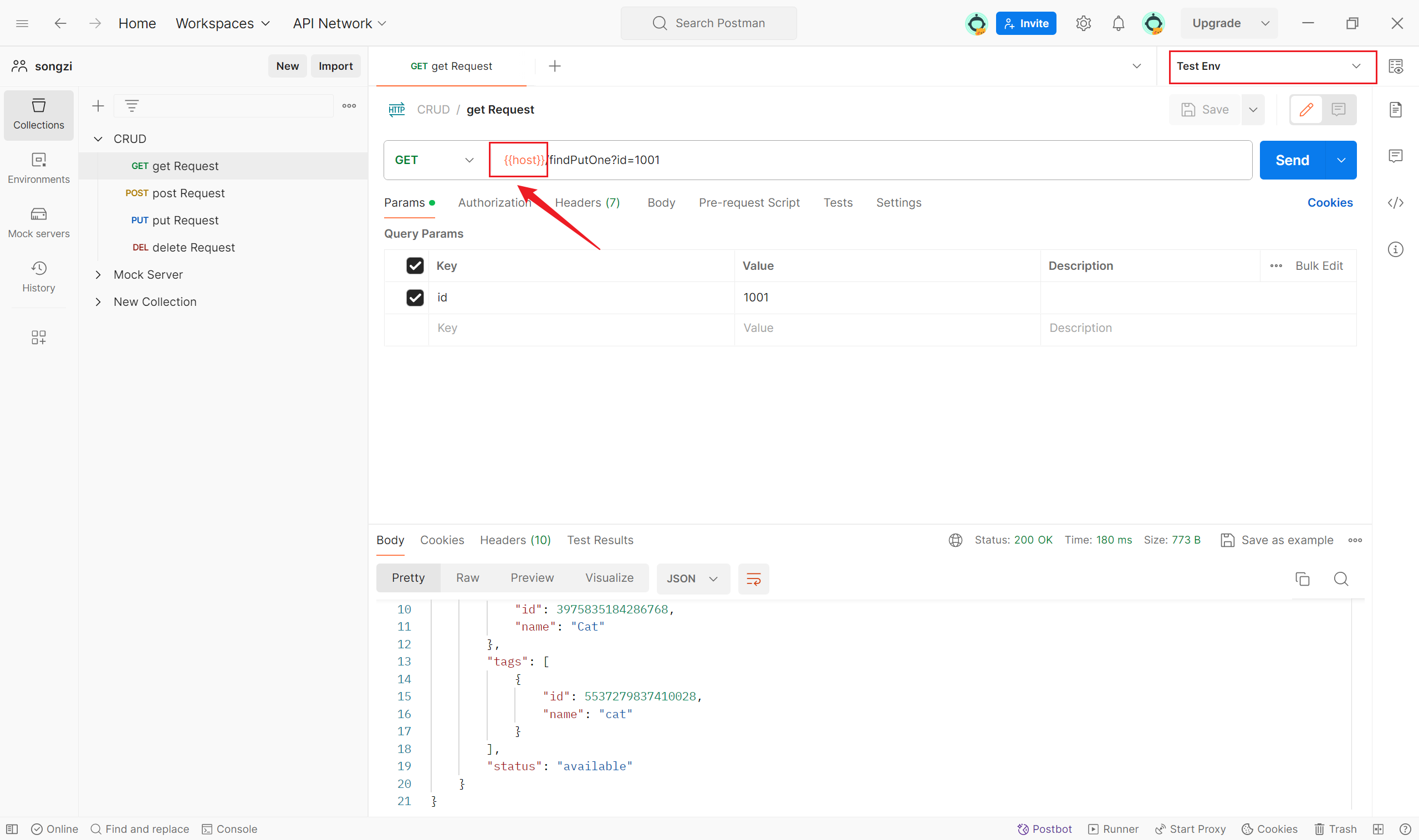 How to configure hosts in Postman