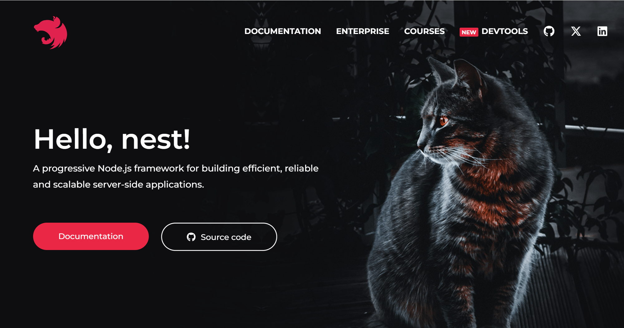 2024's Most Popular Node.js Frameworks