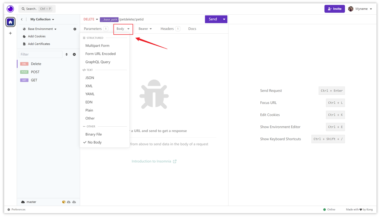 Send a Delete Request in Insomnia
