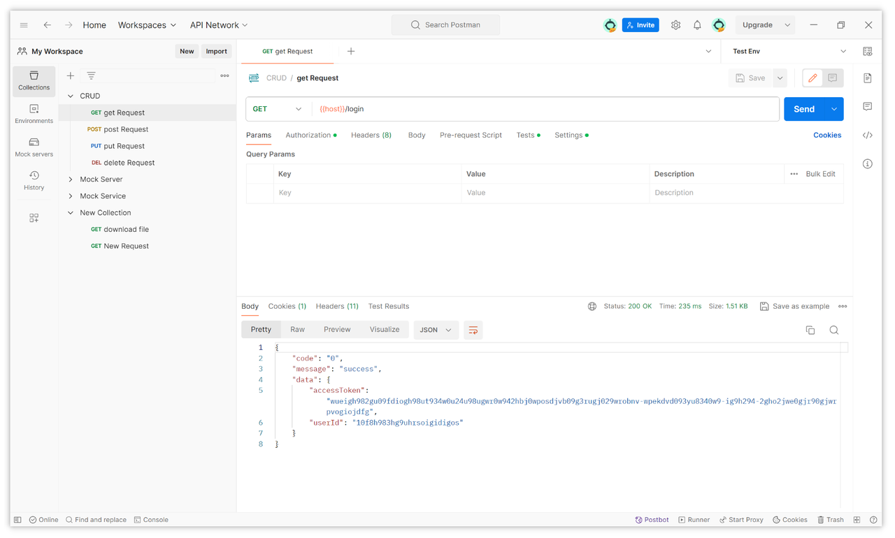 open and use the Console in Postman